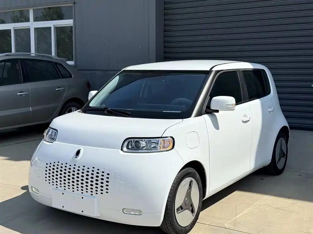 Euler White Cat 2020 360km Luxury Type
