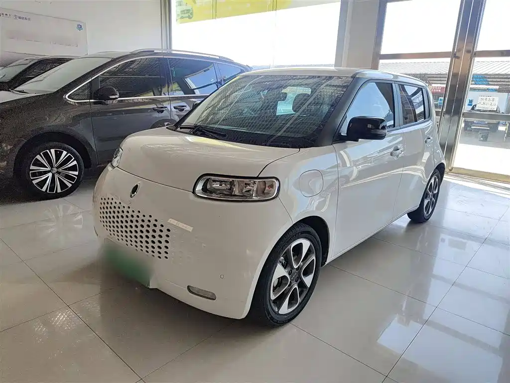 Euler White Cat 2020 401km Flagship Model