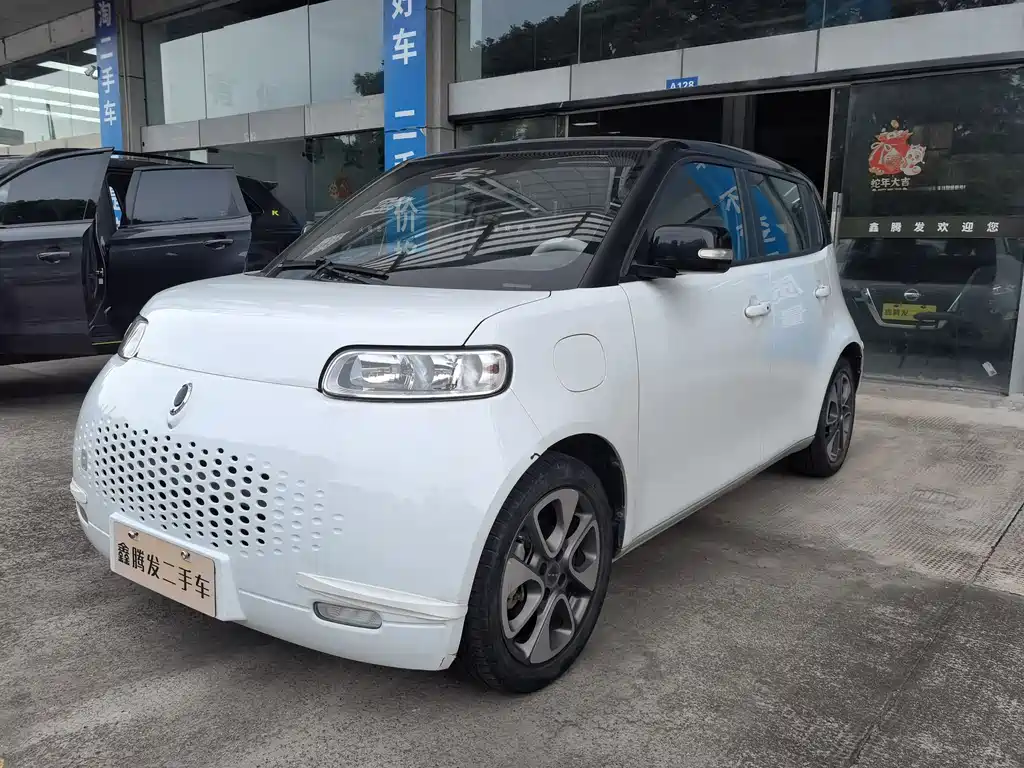 Euler White Cat 2020 Model 305km Luxury Type