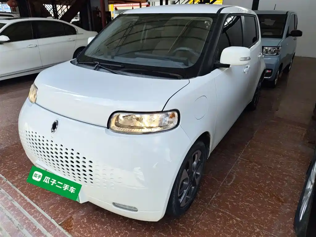 Euler White Cat 2020 Model 305km Luxury Type