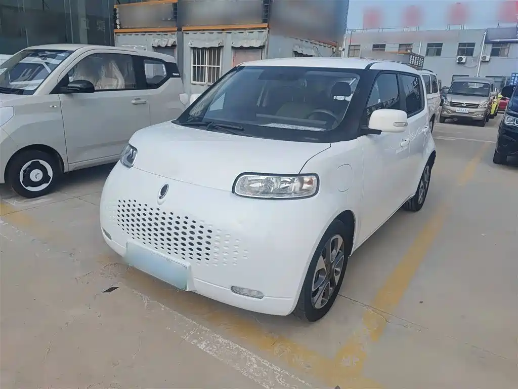 Euler White Cat 2020 Model 305km Luxury Type