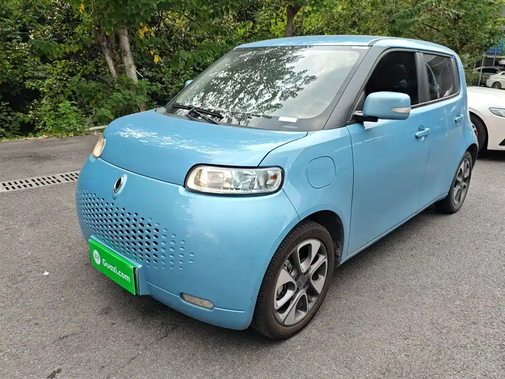 Euler White Cat 2020 Model 305km Luxury Type