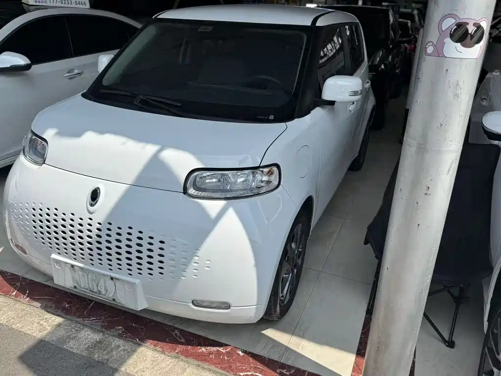 Euler White Cat 2020 Model 305km Luxury Type