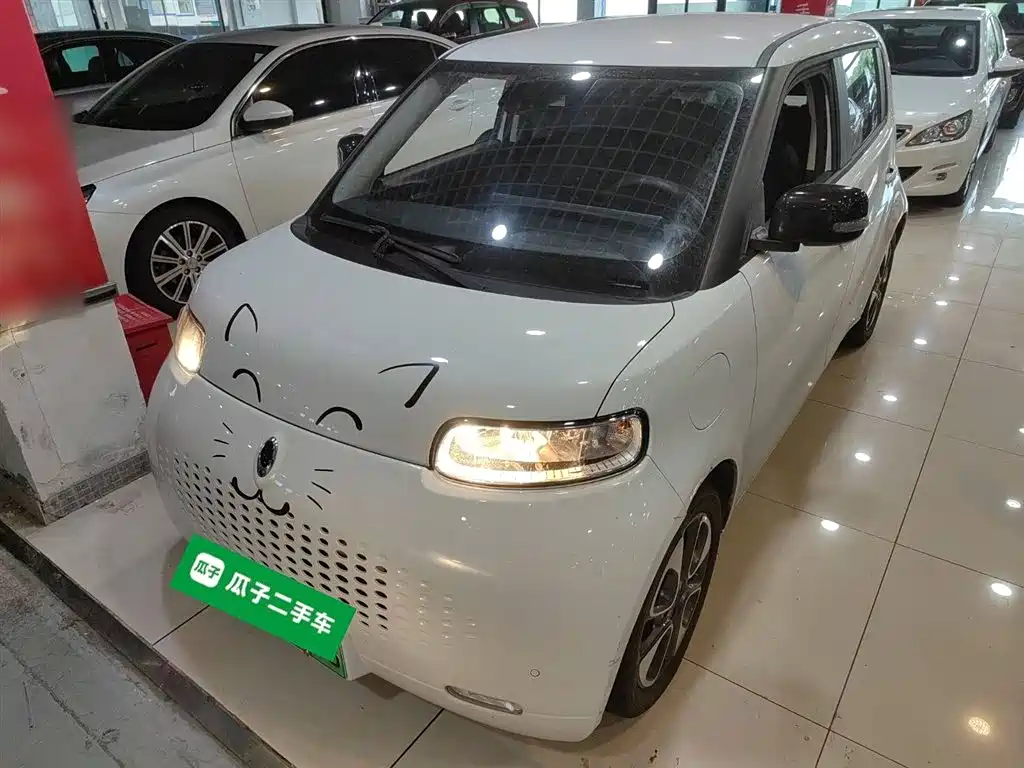 Euler White Cat 2020 401km Flagship Model