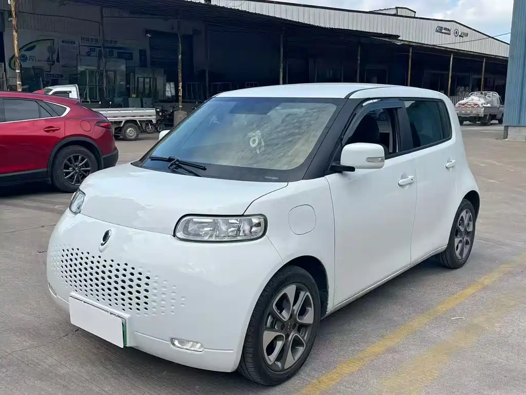 Euler White Cat 2020 Model 305km Luxury Type