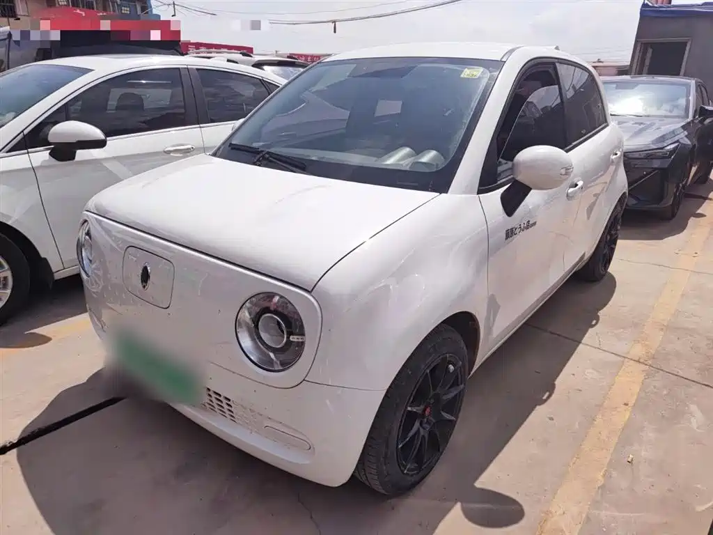 Euler Black Cat 2019 351km Spiritual Edition