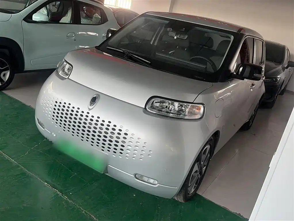 Euler White Cat 2020 401km Flagship Model