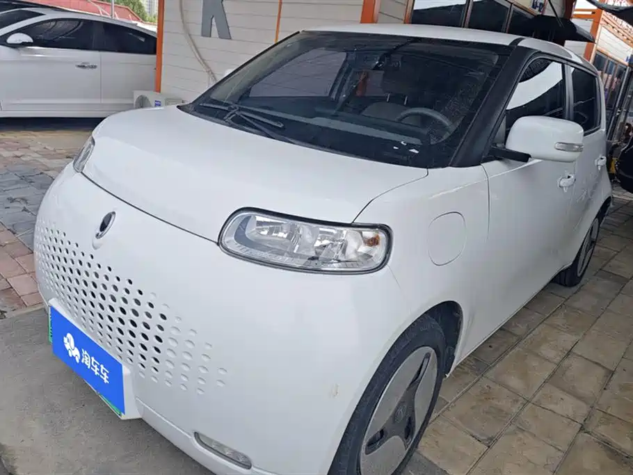 Euler White Cat 2020 360km Luxury Type