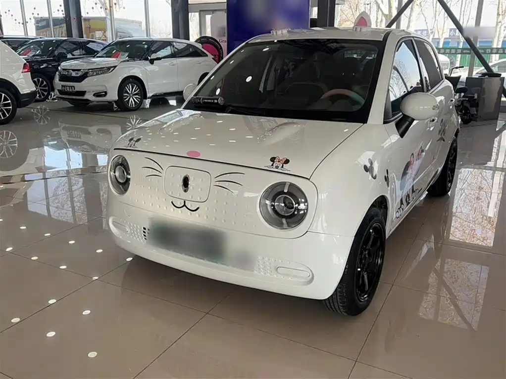 Euler Black Cat 2019 351km Spiritual Edition