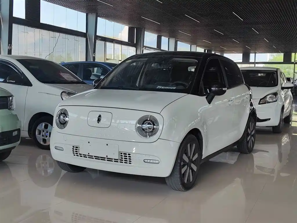Euler Black Cat 2021 351km Deluxe