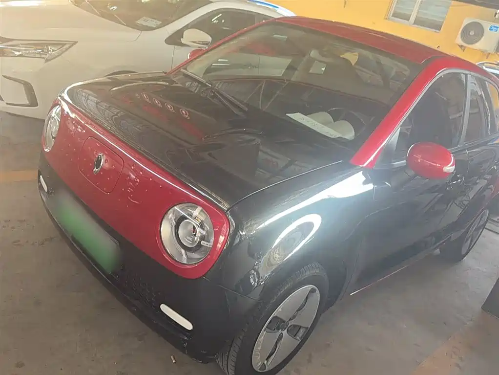 Euler Black Cat 2021 Model 301km Basic Type