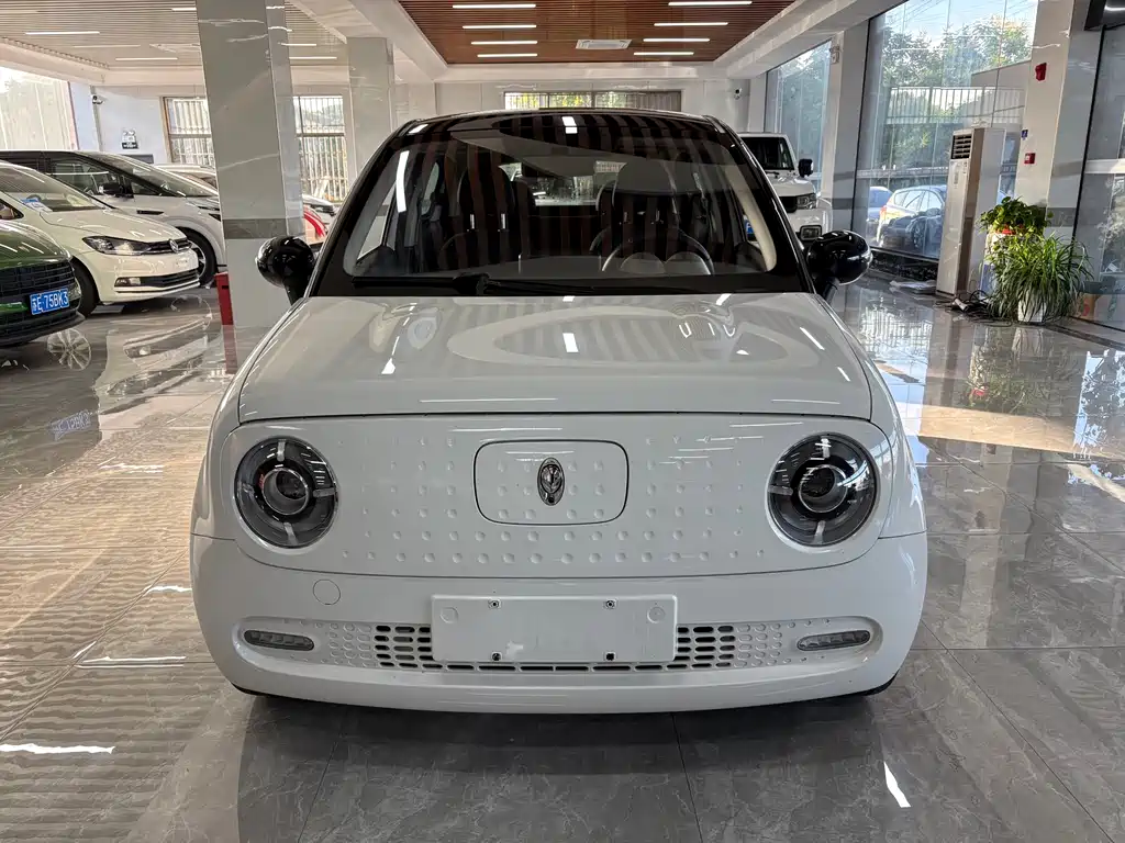 Euler Black Cat 2021 Model 301km Basic Type