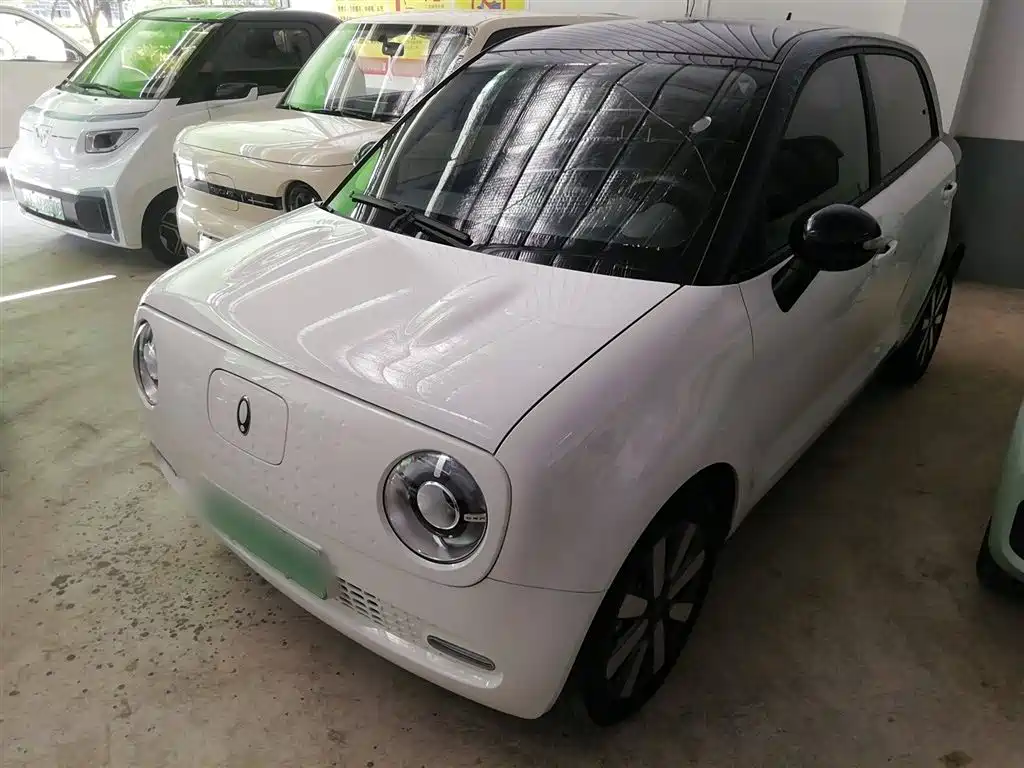 Euler Black Cat 2021 351km Standard