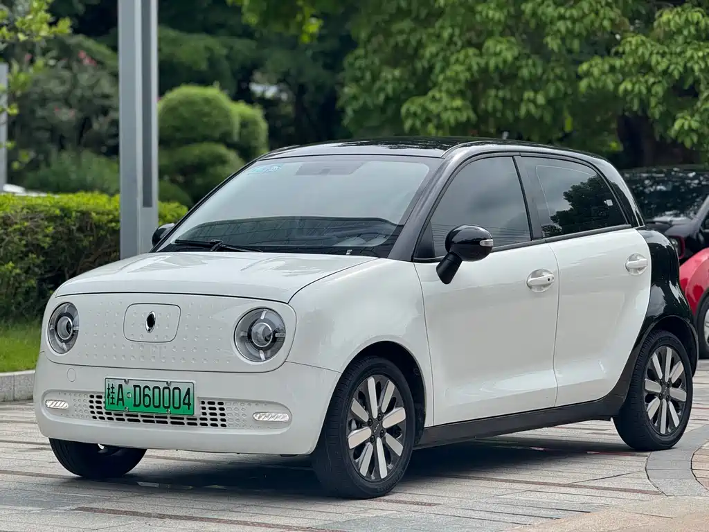 Euler Black Cat 2021 351km Standard