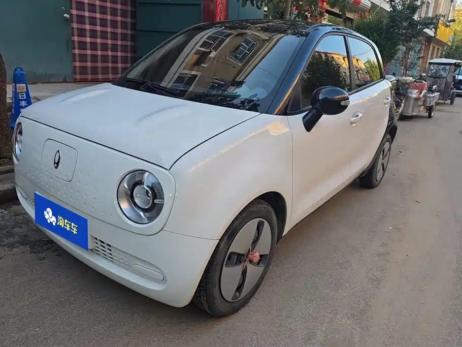 Euler Black Cat 2021 Model 301km Basic Type