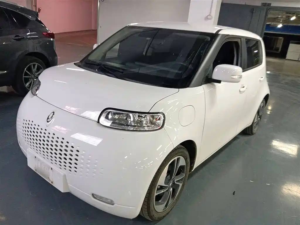 Euler White Cat 2022 upgraded version of 305km luxury ternary lithium