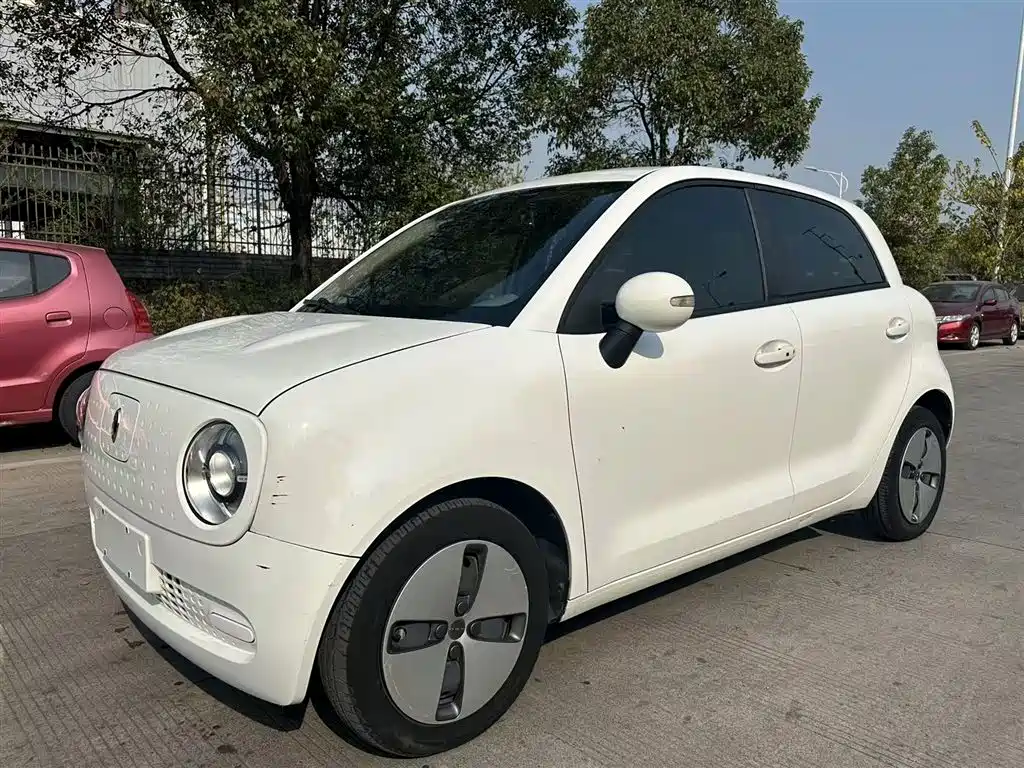 Euler Black Cat 2021 Model 301km Basic Type