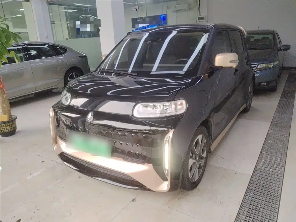 Euler White Cat 2022 Little Wild Cat Version 401km flagship Ternary Lithium