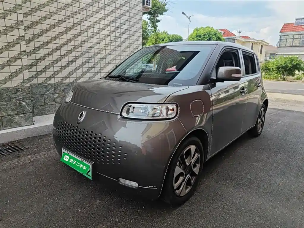 Euler White Cat 2022 upgraded version of 305km luxury ternary lithium
