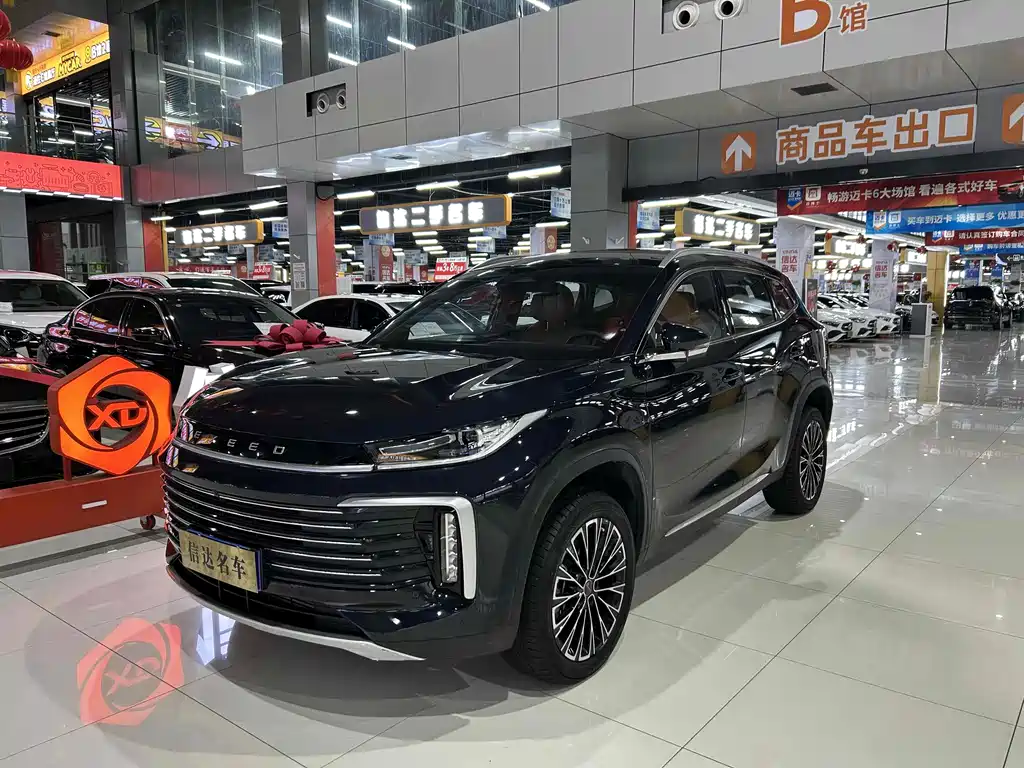 Xingtu Lingyun 2025 300T Two-wheel drive Xingyao Version
