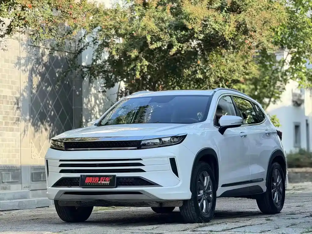 Xingtu Chasing the Wind 2021 Versailles Edition 1.6T DCT Xingrui Edition