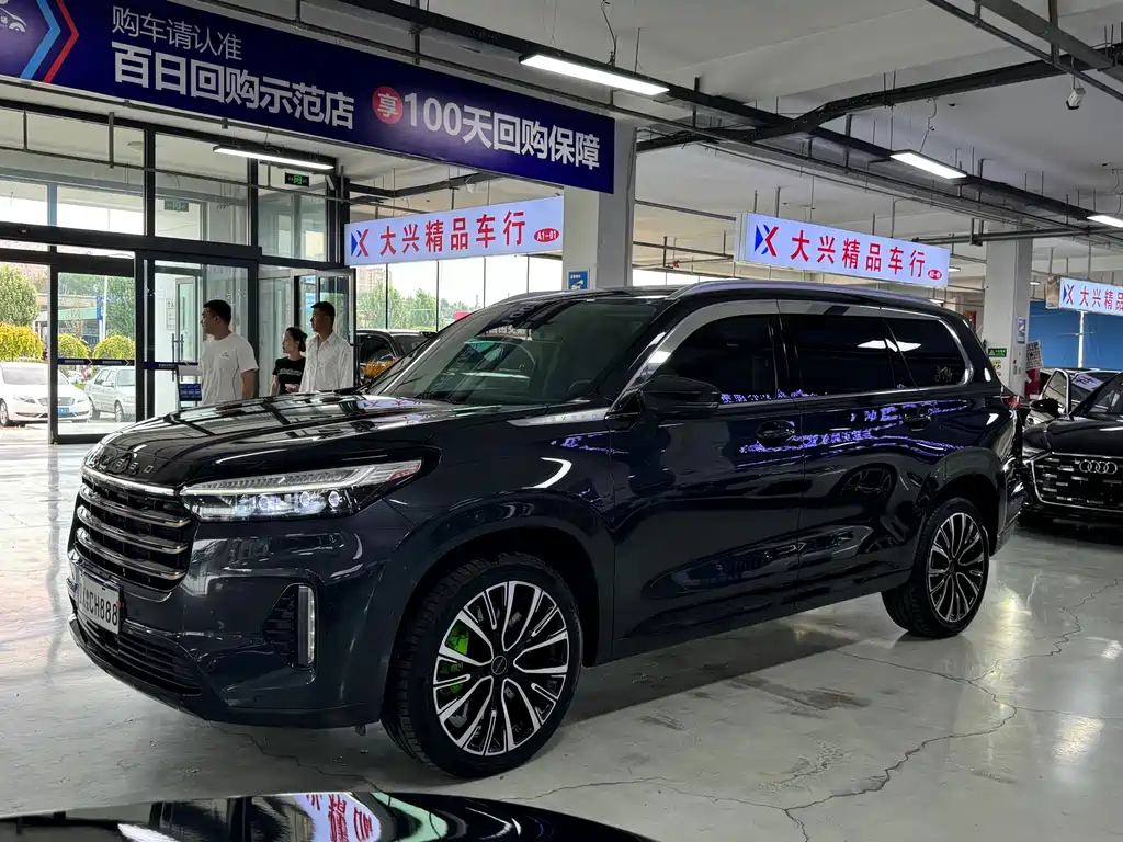 Xingtu Lanyue 2021 400T two-wheel drive Xingrui Pro Version 7 seats