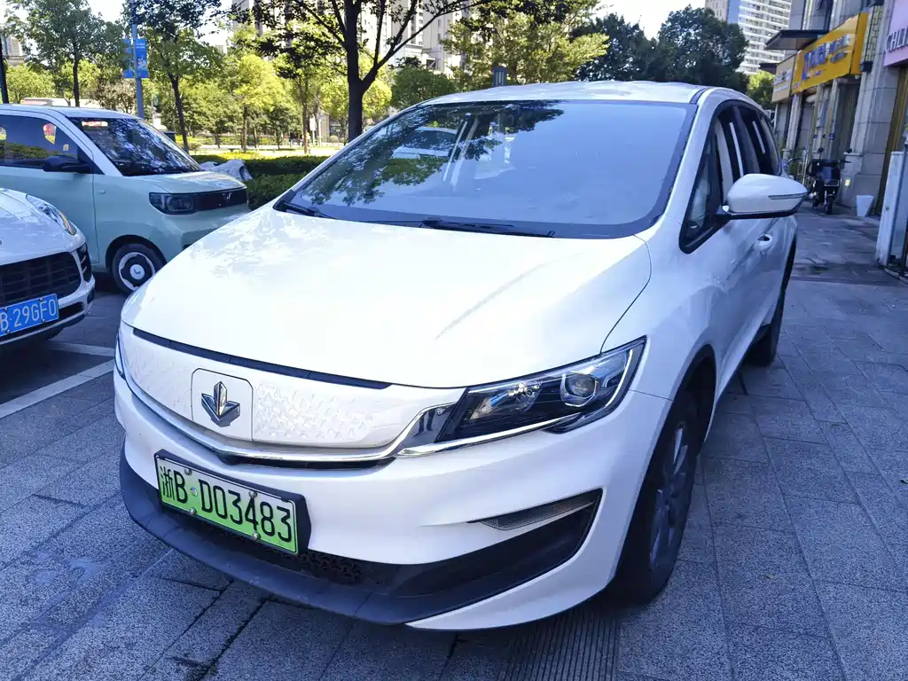 Maple Leaf 80v 2021 Версия Youxing Литий-железо-фосфат
