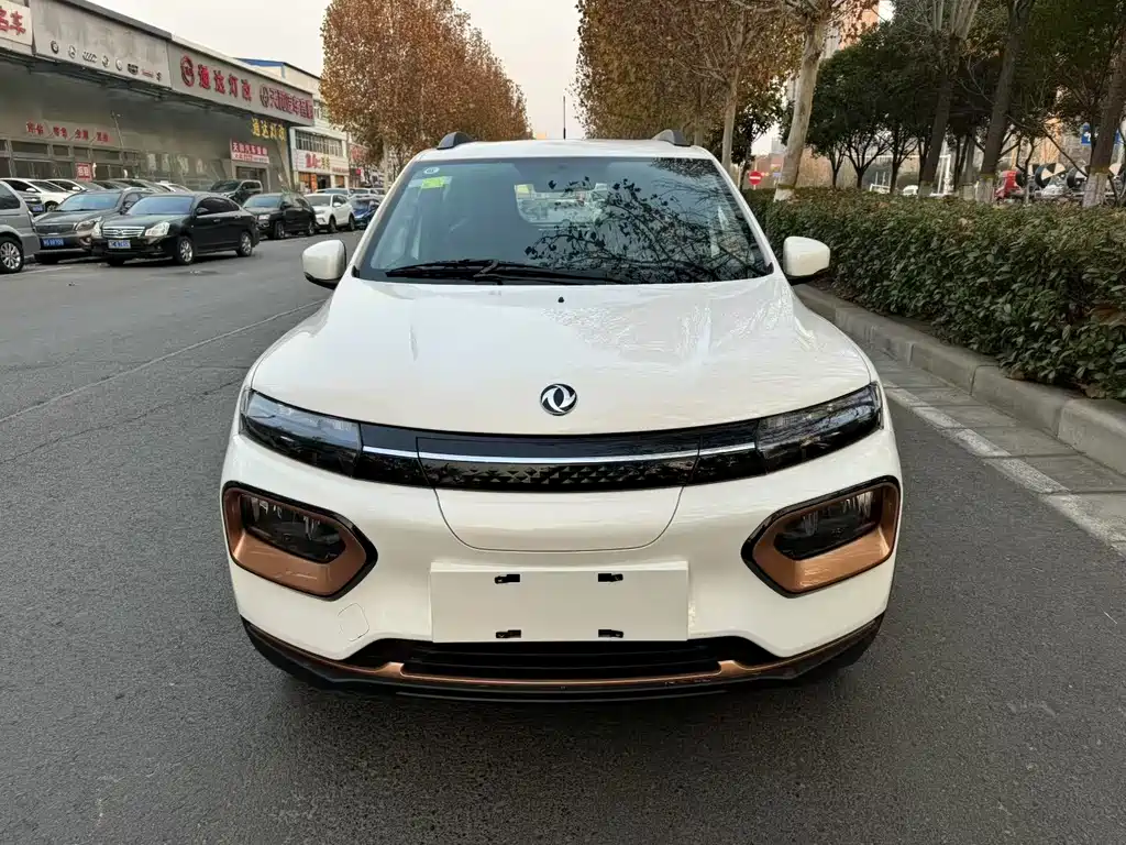 Nano BOX 2022 wind-chasing version 331KM standard type