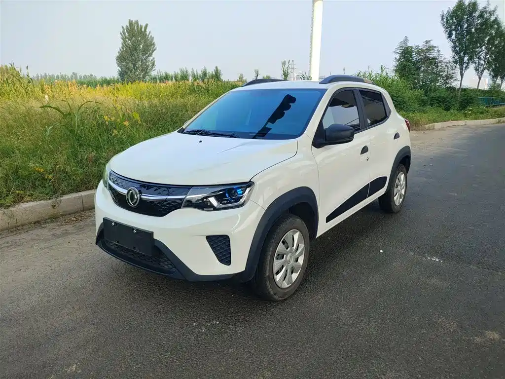 Dongfeng Nano EX1 2021 Quality Spirit Edition