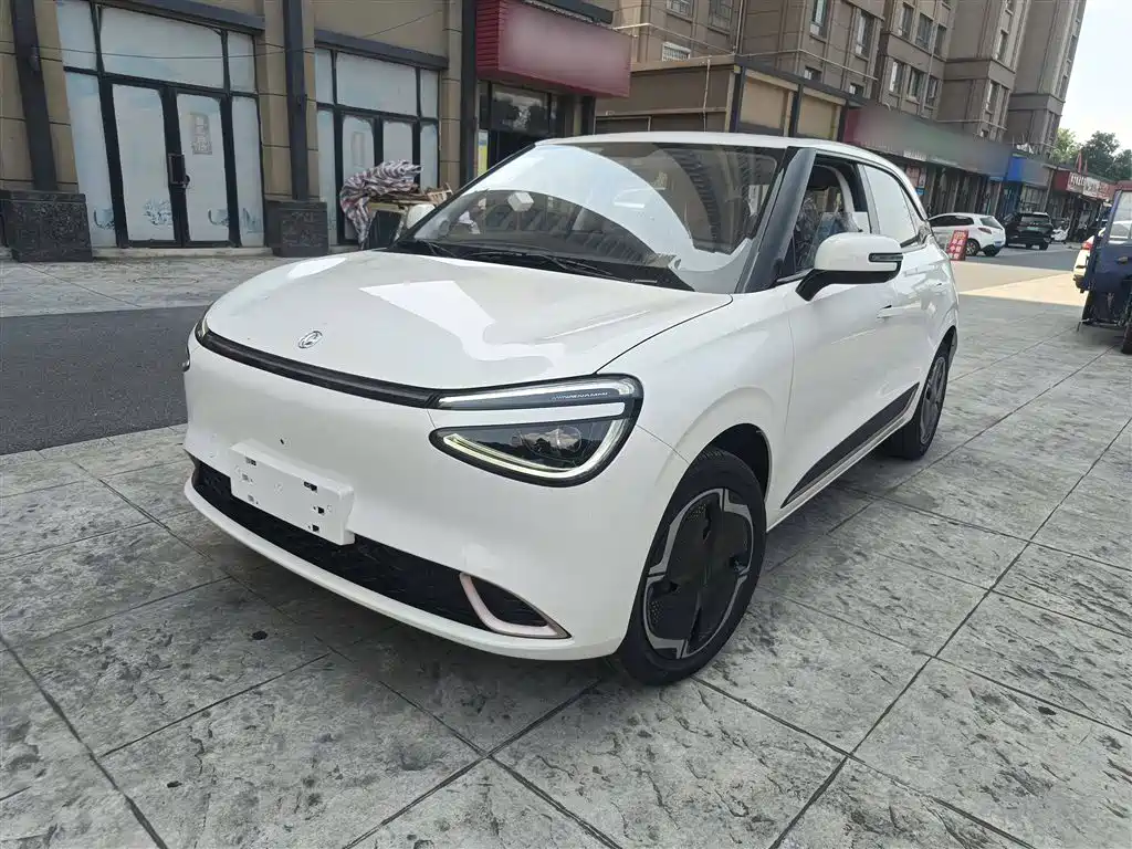 Nano 01 2024 new version 330 Plus Smart+