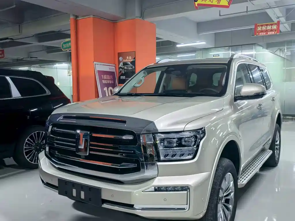 Бак 500 New Energy 2025 Hi4-Z