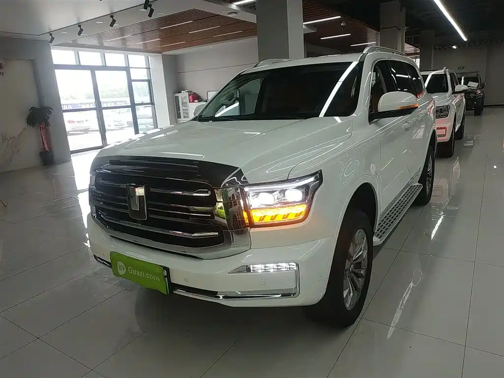 Бак 500 New Energy 2025 Hi4-Z