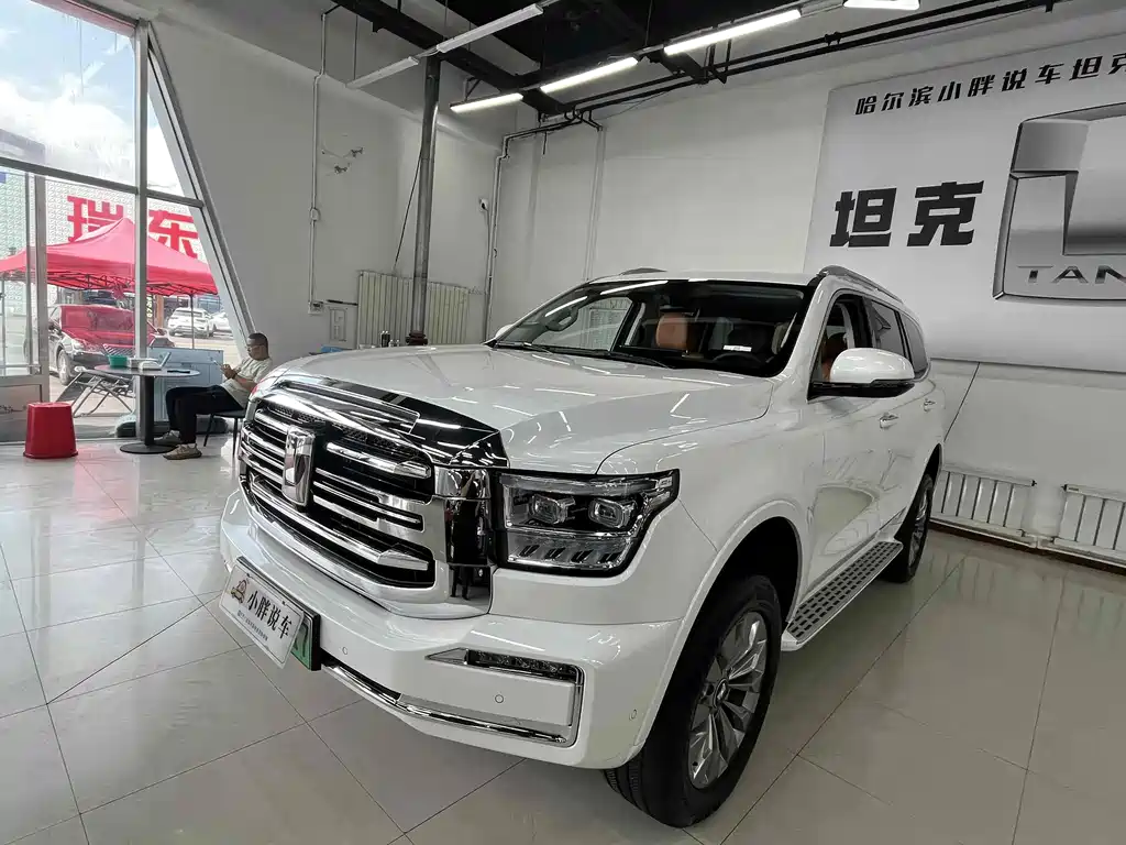 Бак 500 New Energy 2025 Hi4-Z