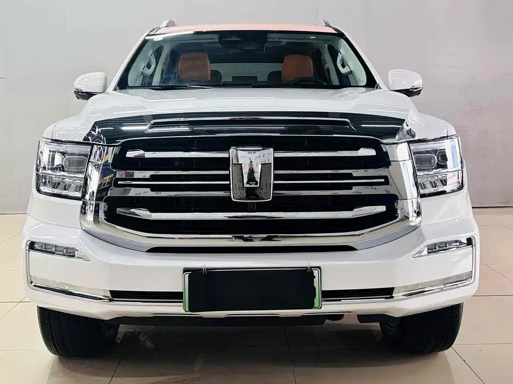 Бак 500 New Energy 2025 Hi4-Z