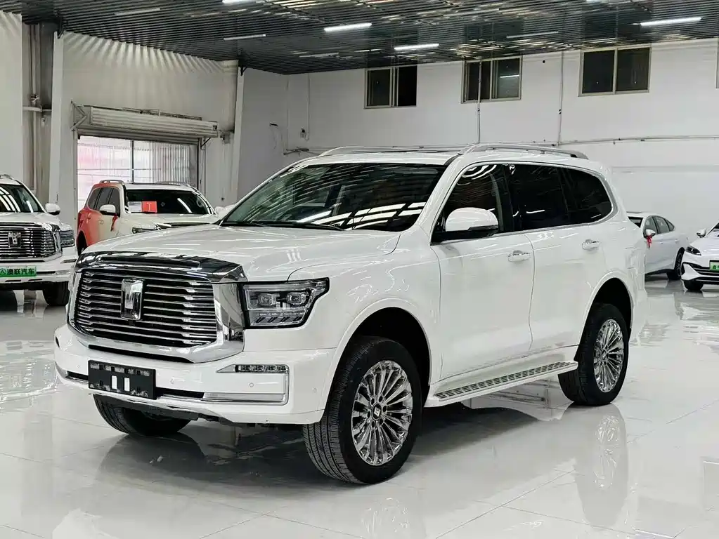 Бак 500 New Energy 2025 Hi4-Z