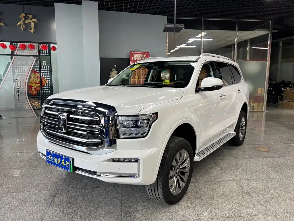 Бак 500 New Energy 2025 Hi4-Z