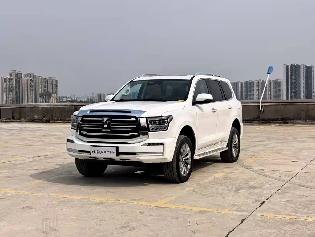 Бак 500 New Energy 2025 Hi4-Z