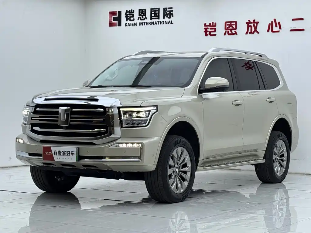 Бак 500 New Energy 2025 Hi4-Z