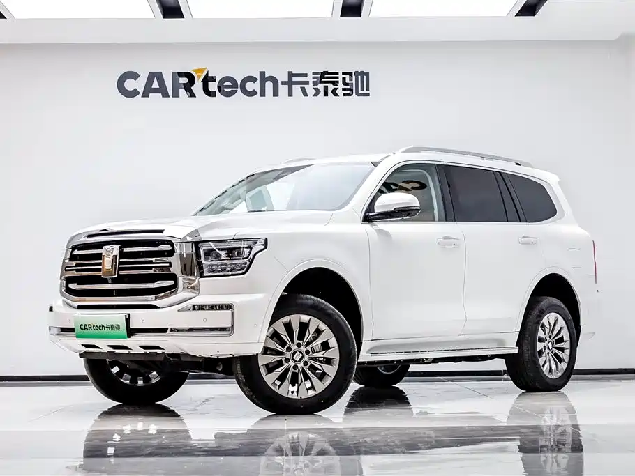 Бак 500 New Energy 2025 Hi4-Z