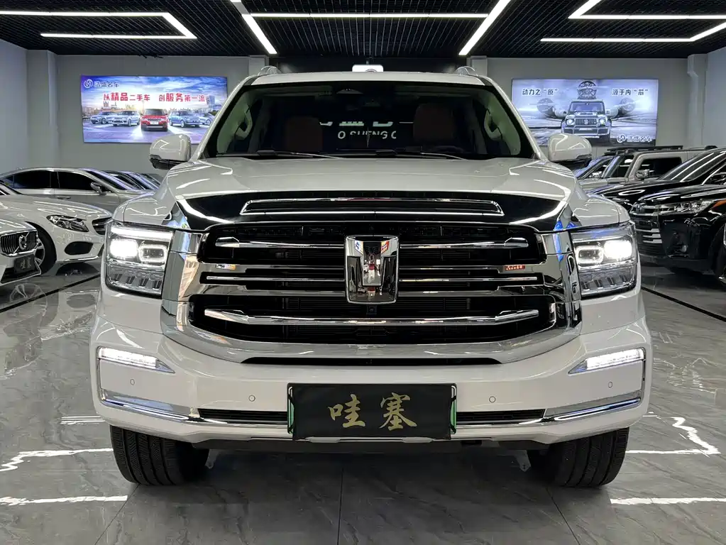 Бак 500 New Energy 2025 Hi4-Z