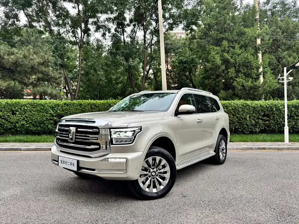 Бак 500 New Energy 2025 Hi4-Z