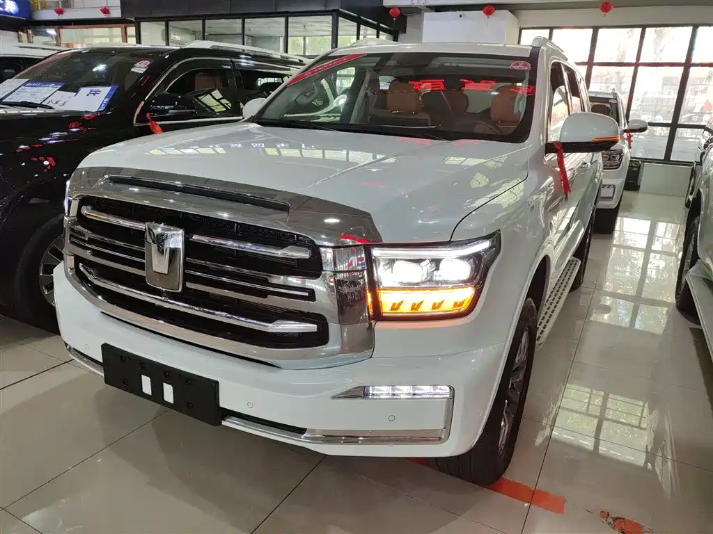 Бак 500 New Energy 2025 Hi4-Z