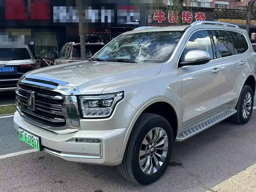 Бак 500 New Energy 2025 Hi4-Z