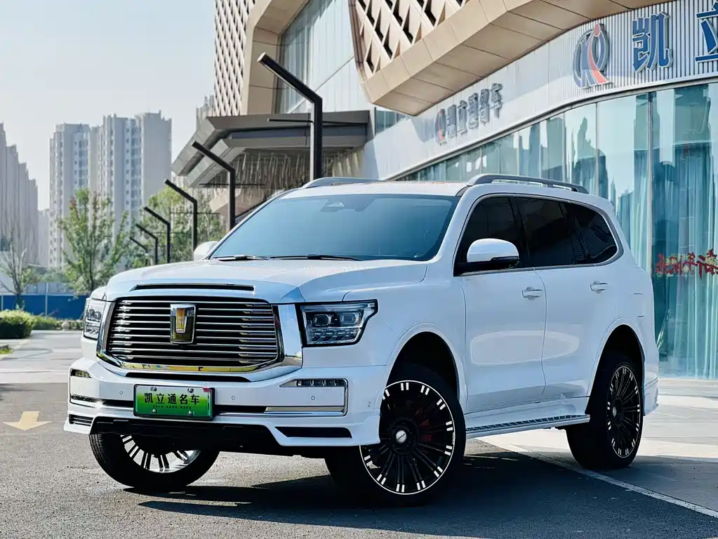 Бак 500 New Energy 2025 Hi4-Z