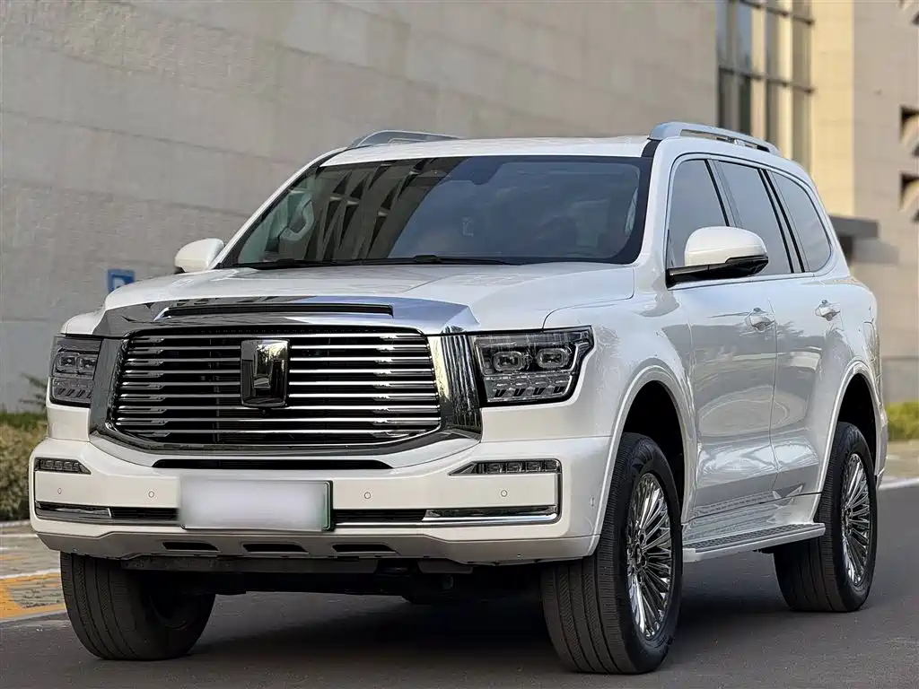 Бак 500 New Energy 2025 Hi4-Z