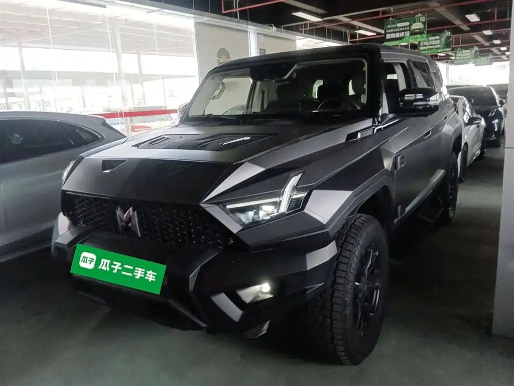 Warrior 917 2023 Базовая версия с расширенным радиусом действия
