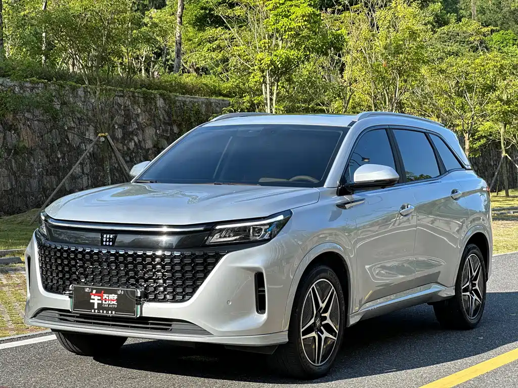 Blue Electric E5 2024 Glory Edition 100km Premium 7-seater