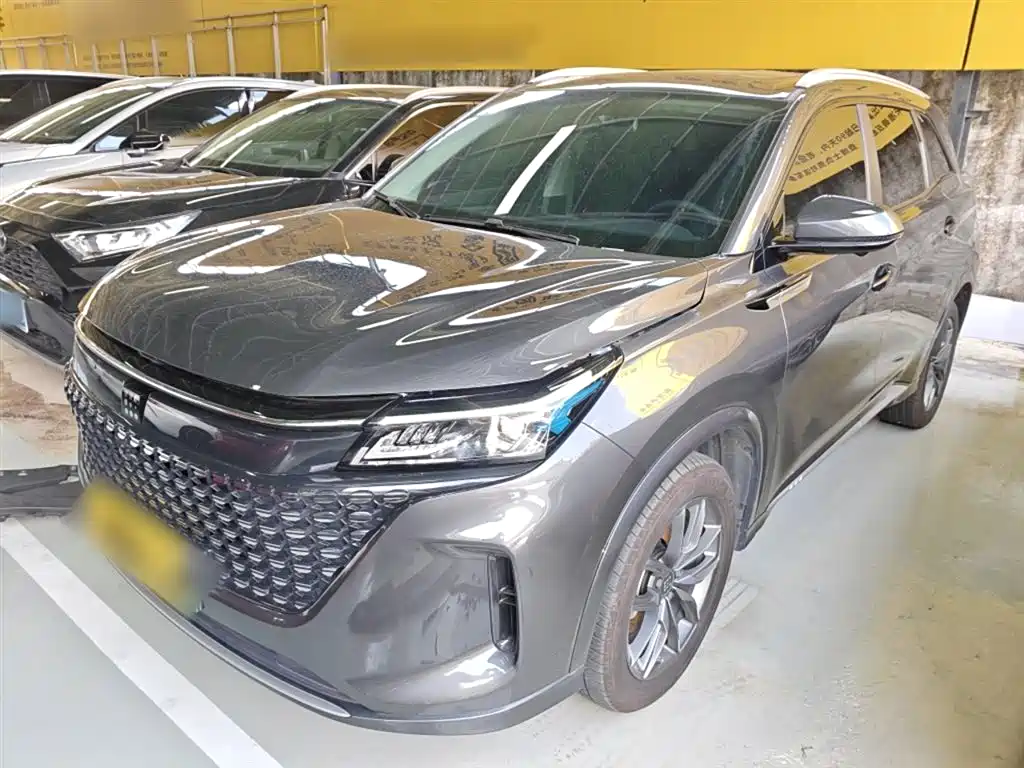 Blue Electric E5 2024 Glory Edition 100km Exclusive 7-seater