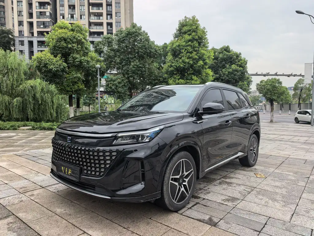 Blue Electric E5 2023 1,5 л DE-i 100 км Премиум 7-местный автомобиль