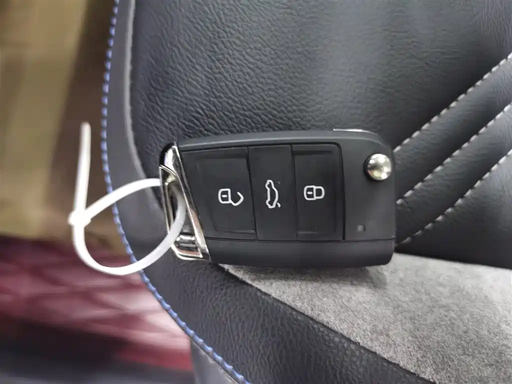 Tanyue GTE plug-in hybrid 2020 1.4T luxury